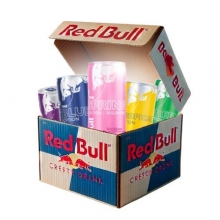 Pack 5 Redbull 250 ml