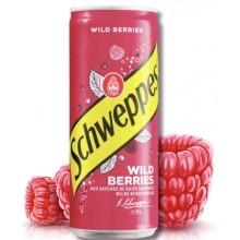 Schweppes Wild Berry 330 ml